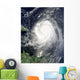Hurricane Earl Wall Decal Design 6