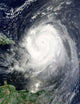 Hurricane Earl Wall Decal Design 6