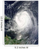 Hurricane Earl Wall Decal Design 6