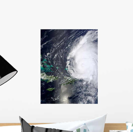 Hurricane Earl Wall Decal Design 5