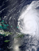 Hurricane Earl Wall Decal Design 5