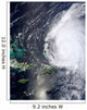 Hurricane Earl Wall Decal Design 5
