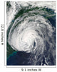 Hurricane Earl off Mid-Atlantic Wall Decal