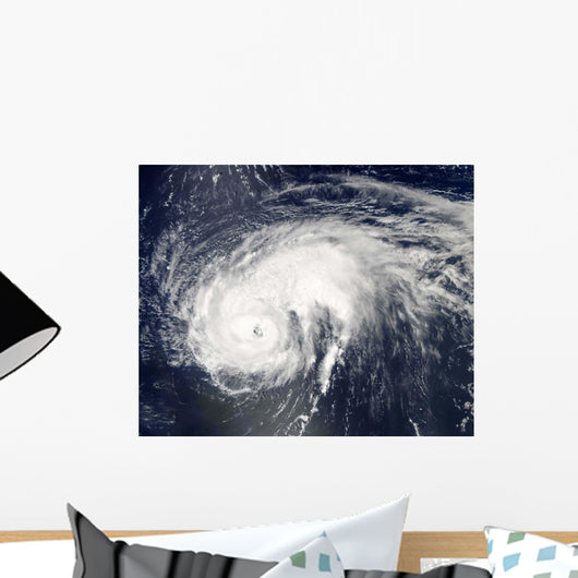 Hurricane Danielle Wall Decal