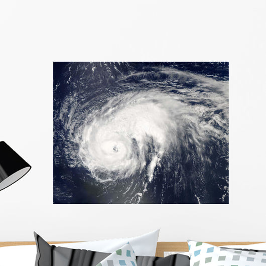 Hurricane Danielle Wall Decal