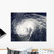 Hurricane Danielle Wall Decal