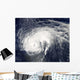Hurricane Danielle Wall Decal