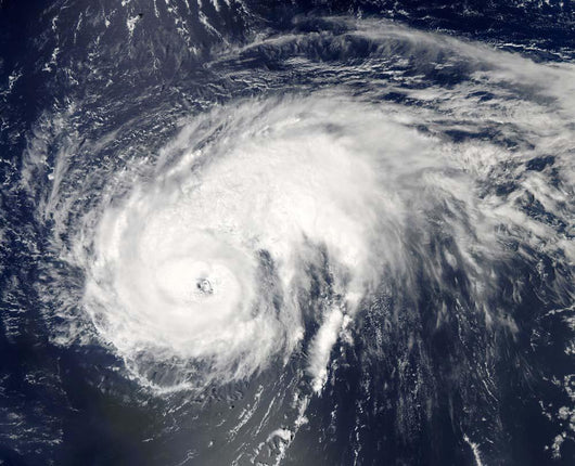 Hurricane Danielle Wall Decal