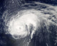 Hurricane Danielle Wall Decal