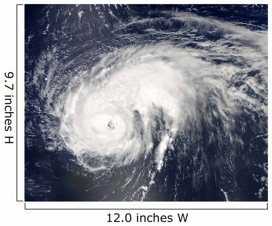 Hurricane Danielle Wall Decal