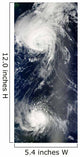 Two Powerful Storms Span Wall Decal