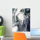 Typhoon Kompasu Wall Decal