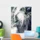 Typhoon Kompasu Wall Decal