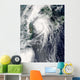 Typhoon Kompasu Wall Decal