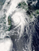 Typhoon Kompasu Wall Decal