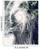 Typhoon Kompasu Wall Decal