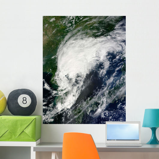 Tropical Storm Kompasu Wall Decal