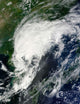 Tropical Storm Kompasu Wall Decal