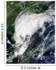 Tropical Storm Kompasu Wall Decal