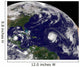 Three Tropical Cyclones Active Wall Decal