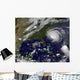 Hurricane Earl Wall Decal Design 4