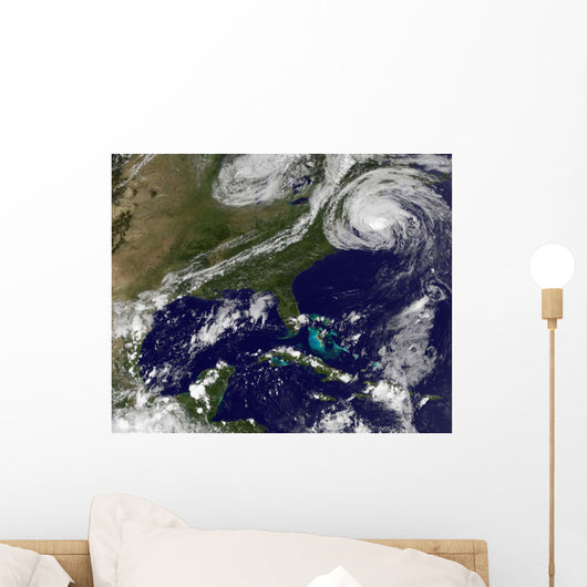 Hurricane Earl Wall Decal Design 3