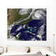 Hurricane Earl Wall Decal Design 3