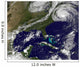 Hurricane Earl Wall Decal Design 3