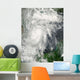 Tropical Storm Hermine Gulf Wall Decal