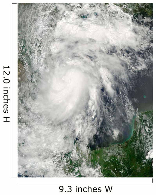 Tropical Storm Hermine Gulf Wall Decal
