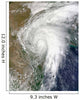 Tropical Storm Hermine over Wall Decal