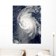 Hurricane Igor Atlantic Ocean Wall Decal