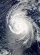 Hurricane Igor Atlantic Ocean Wall Decal