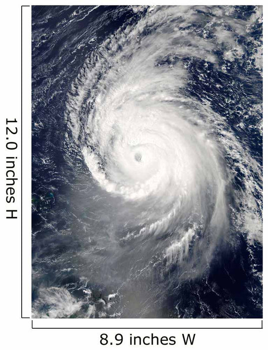 Hurricane Igor Atlantic Ocean Wall Decal