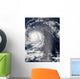 Hurricane Igor Wall Decal Design 2