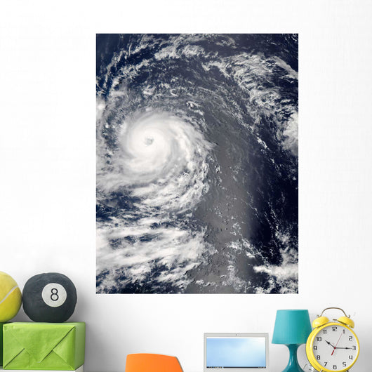 Hurricane Igor Wall Decal Design 2