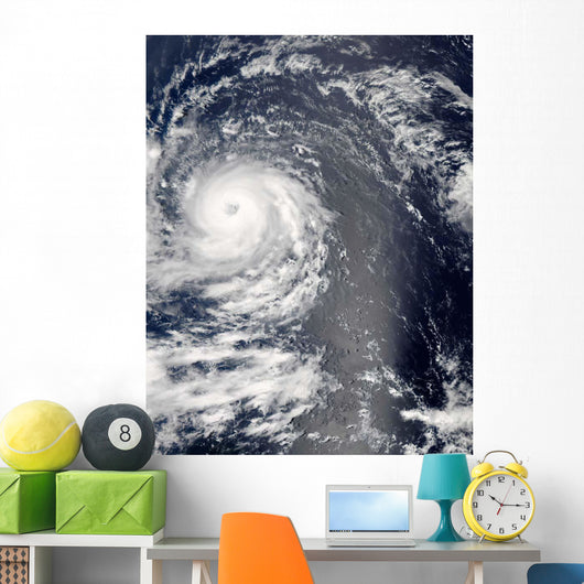 Hurricane Igor Wall Decal Design 2