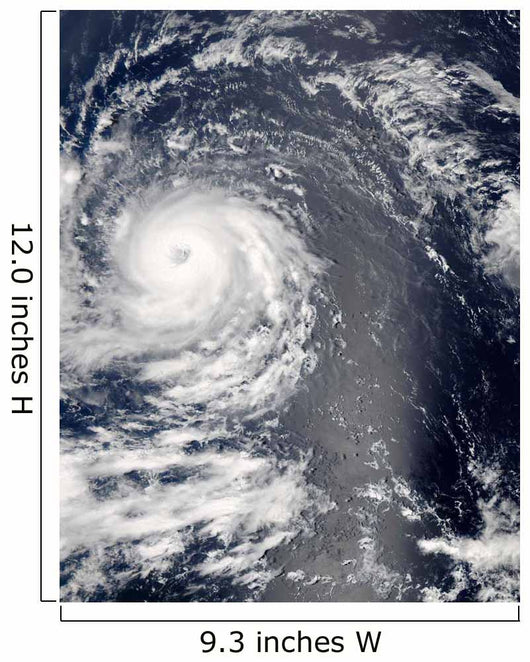 Hurricane Igor Wall Decal Design 2