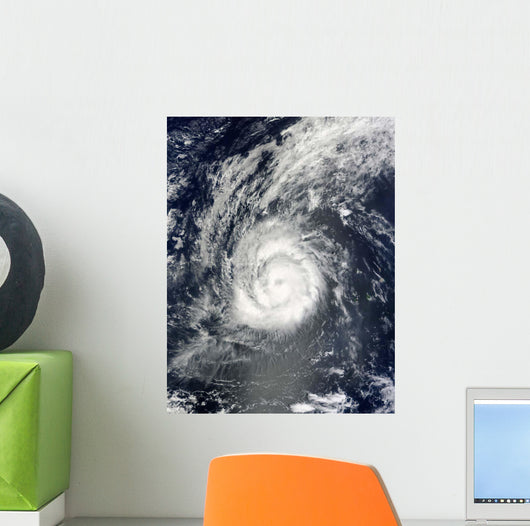Hurricane Julia Wall Decal