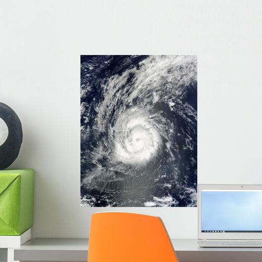 Hurricane Julia Wall Decal