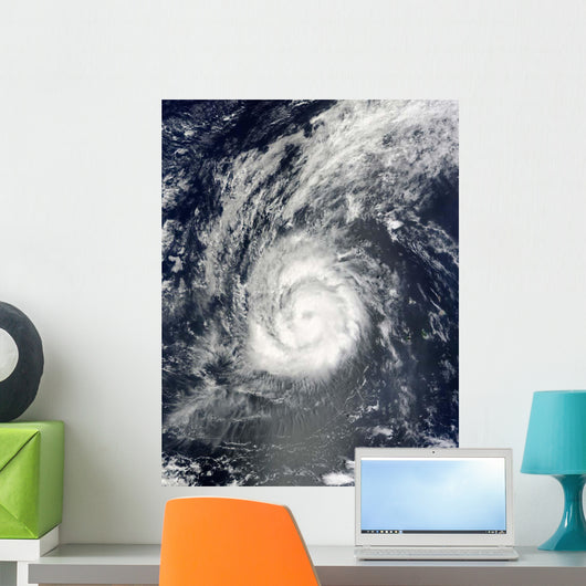Hurricane Julia Wall Decal