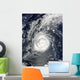 Hurricane Julia Wall Decal