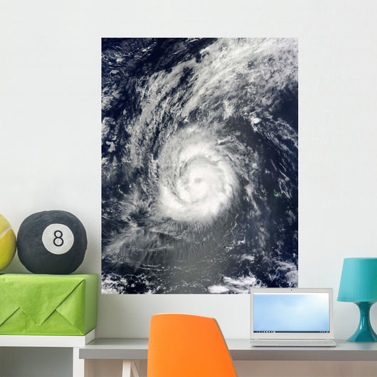 Hurricane Julia Wall Decal