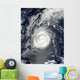 Hurricane Julia Wall Decal