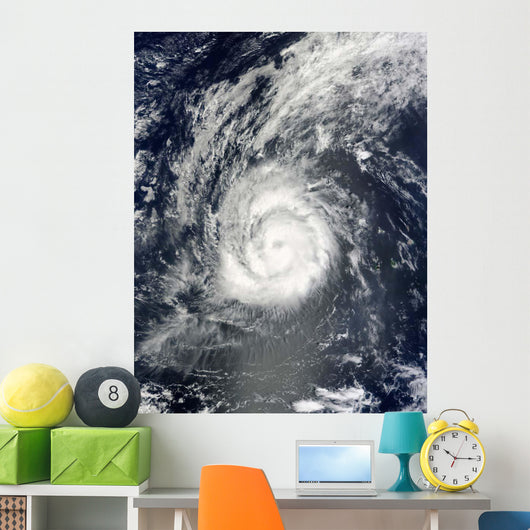 Hurricane Julia Wall Decal