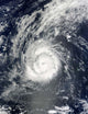Hurricane Julia Wall Decal