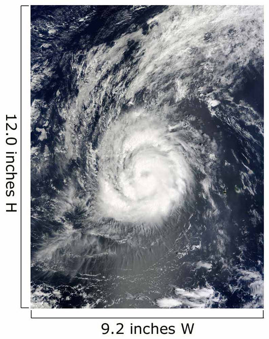 Hurricane Julia Wall Decal