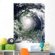 Tropical Storm Karl over Wall Decal