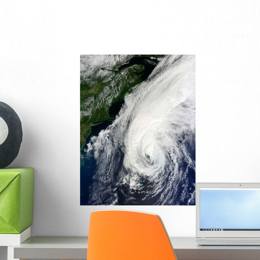 Hurricane Igor Wall Decal Design 1