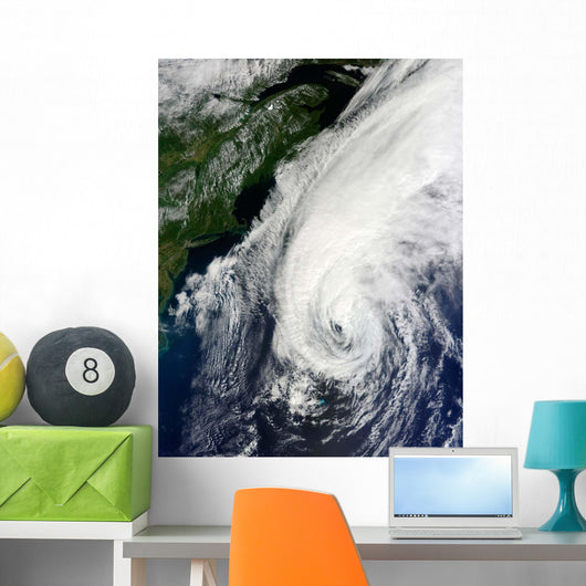 Hurricane Igor Wall Decal Design 1